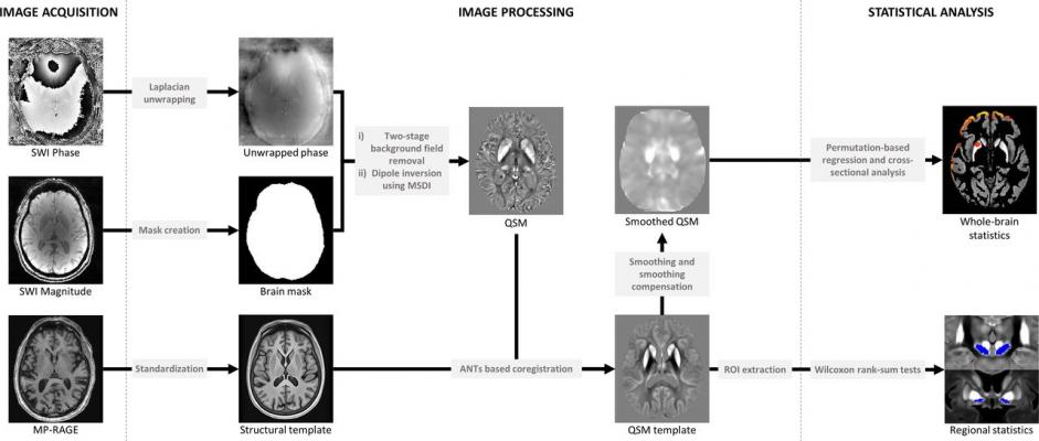 一种尖端的磁共振成像(MRI)技术可以检测大脑不同区域的铁沉积，可以跟踪帕金森病患者思维、记忆和运动的衰退#帕金森#MRI
