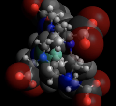 莱斯大学工程师的模拟揭示了MRI扫描中使用的钆造影剂与其液体环境之间分子相互作用的细节。在这个模型中，绿色的钆被蓝色的螯合离子包围，它们本身被水包围(灰色的氧原子和红色的氢原子)。Thiago Pinheiro dos Santos/莱斯大学