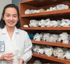 医学博士Dee Dee Wang负责亨利福特医院的3d打印实验室，该实验室支持其复杂的心脏结构项目。